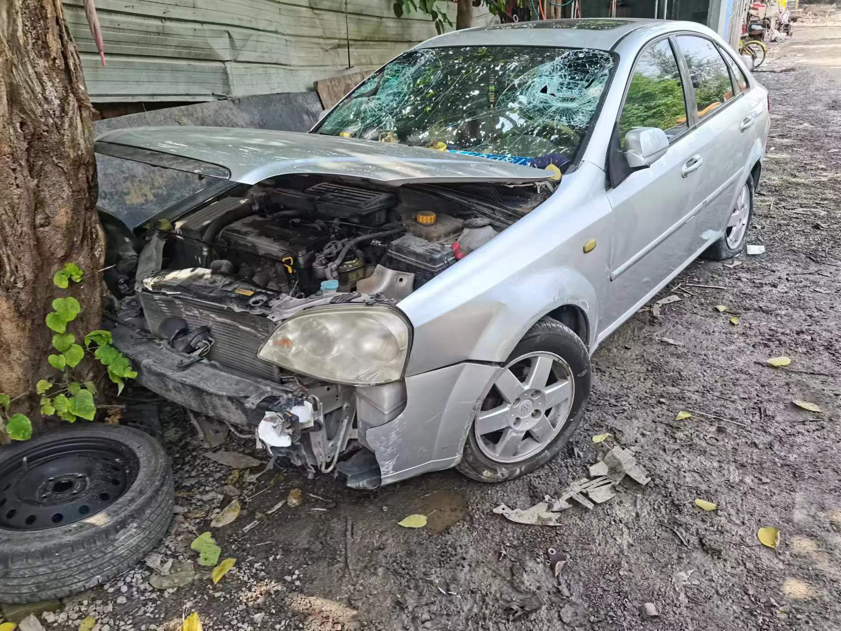 �������ϳ�����������2026