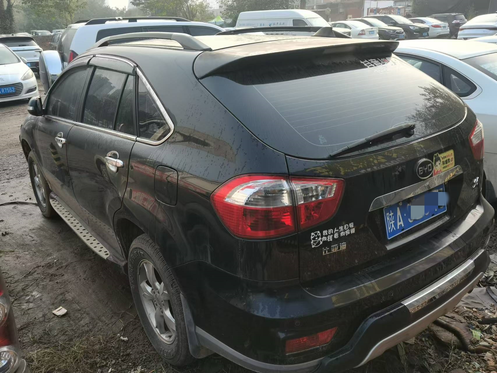 2026�����������ϲ�������